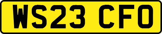 WS23CFO