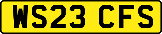 WS23CFS