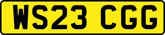 WS23CGG