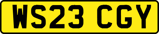 WS23CGY