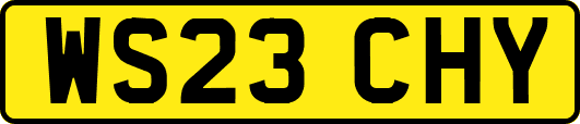 WS23CHY