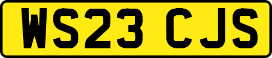WS23CJS