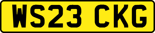 WS23CKG