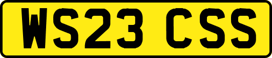 WS23CSS