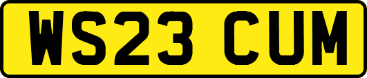 WS23CUM