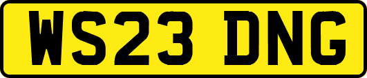WS23DNG