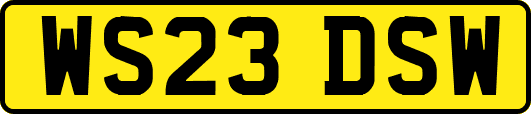 WS23DSW