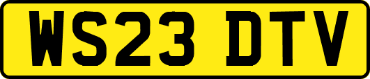 WS23DTV