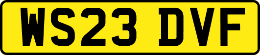 WS23DVF