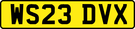WS23DVX