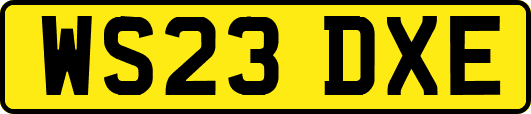WS23DXE