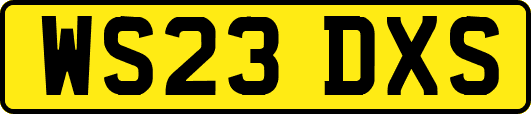 WS23DXS