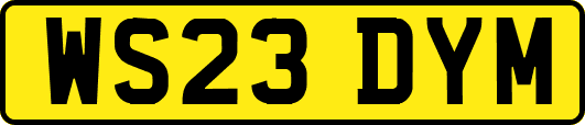 WS23DYM