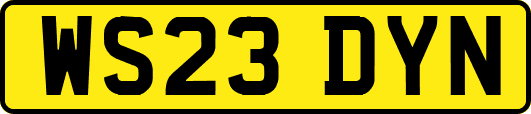 WS23DYN