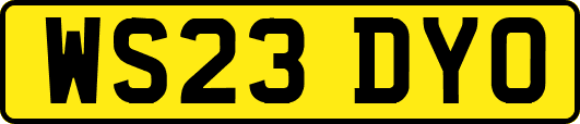 WS23DYO