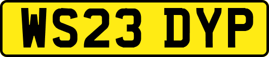 WS23DYP