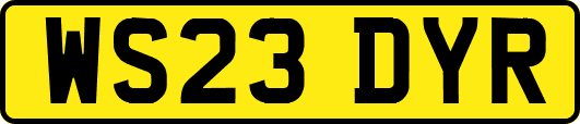 WS23DYR