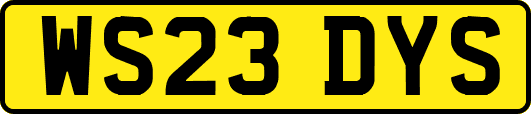 WS23DYS
