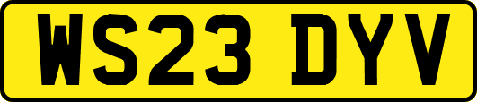 WS23DYV