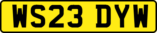 WS23DYW