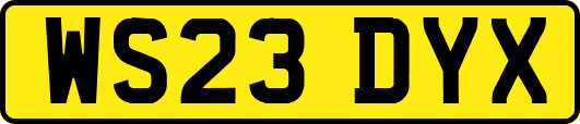 WS23DYX