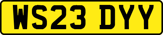 WS23DYY