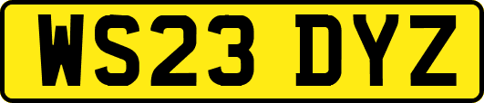 WS23DYZ
