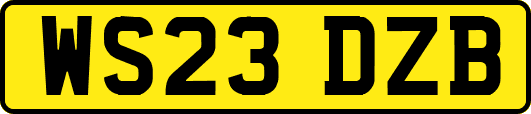 WS23DZB