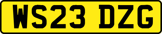 WS23DZG