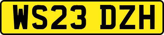 WS23DZH