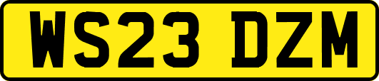 WS23DZM