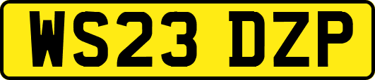 WS23DZP