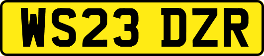 WS23DZR