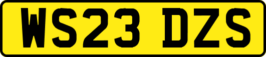 WS23DZS
