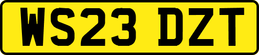 WS23DZT