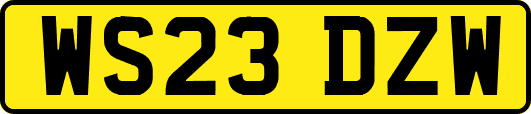 WS23DZW