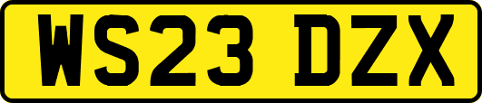WS23DZX