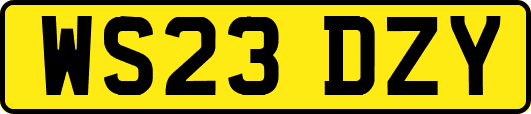 WS23DZY