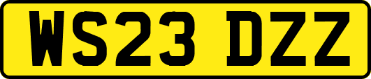 WS23DZZ