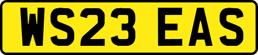 WS23EAS