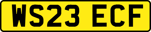 WS23ECF