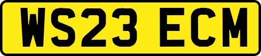 WS23ECM