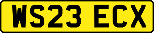 WS23ECX