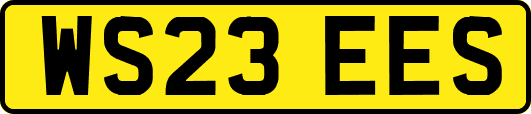 WS23EES