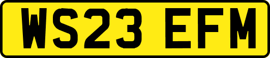 WS23EFM