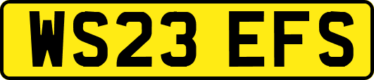 WS23EFS
