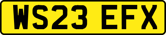 WS23EFX