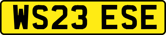WS23ESE