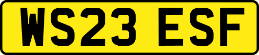 WS23ESF