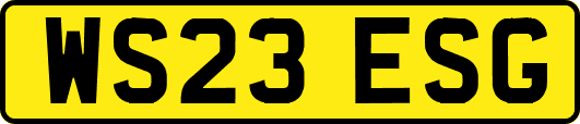 WS23ESG